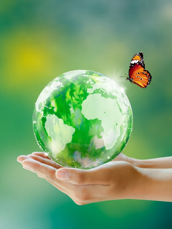 Hands holding a glass earth with a butterfly