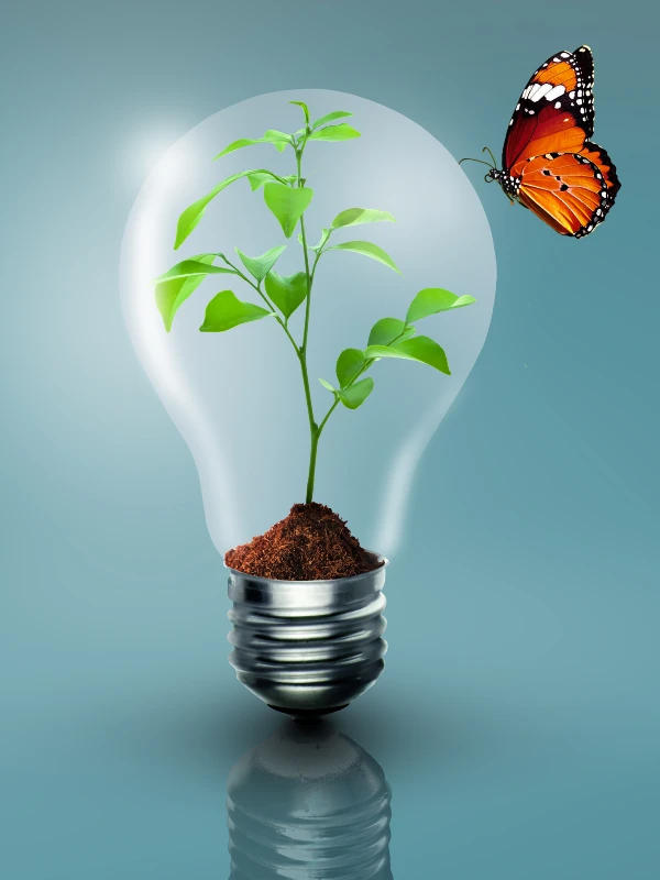 Light bulb with tree growing inside with butterfly outside